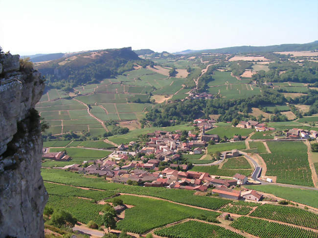 Le village niché au pied de la roche de Vergisson En arrière plan la roche de Solutré - Vergisson (71960) - Saône-et-Loire