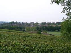 photo Randonnée des Maranges - Hommage à Jacques Roche