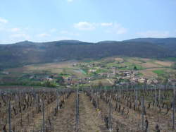 photo Entre Bourgogne et Beaujolais, dégustation dinatoire à Leynes