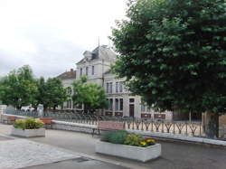 photo Bain de forêt