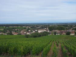 Cave ouverte au Domaine GONDARD-PERRIN