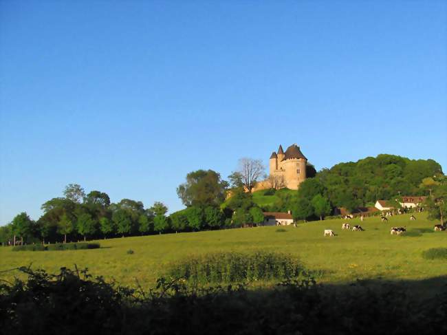 Château de Ballon (face ouest) - Ballon (72290) - Sarthe