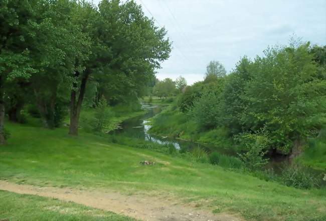 Le ruisseau de l'Auneau traversant  le centre du bourg - Changé (72560) - Sarthe