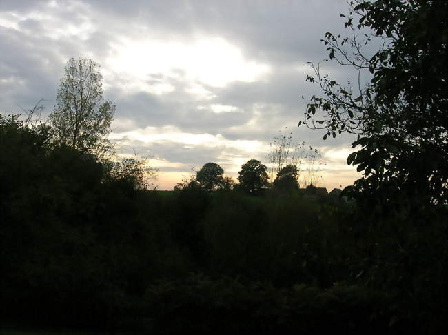 Vue crépusculaire - Saint-Maixent (72320) - Sarthe