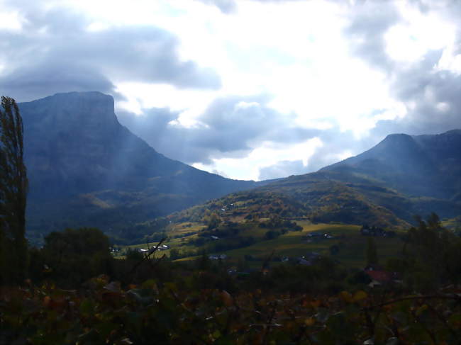 Les coteaux d'Apremont en automne - Apremont (73190) - Savoie