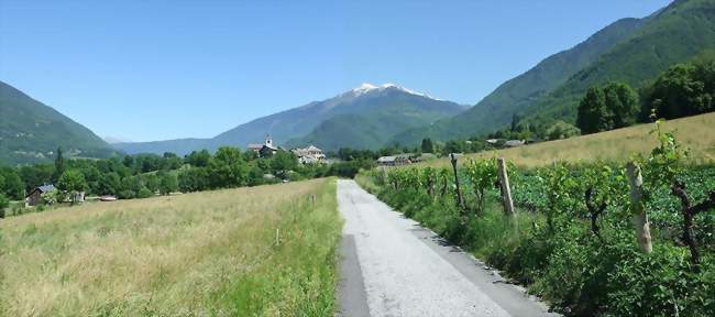 Le sommet du Grand Arc vu d'Argentine - Argentine (73220) - Savoie