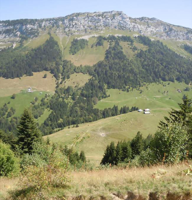 Le col de Bornette - Bellecombe-en-Bauges (73340) - Savoie
