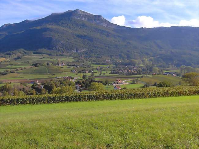 Vue de Billième, situé sur les coteaux de la Charvaz - Billième (73170) - Savoie