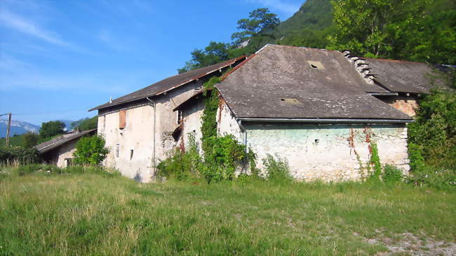 Petit marché mensuel de producteurs locaux, Cruet