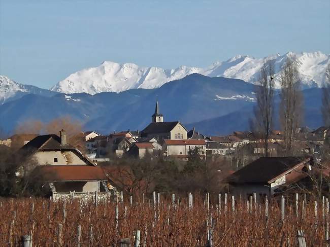 Vignobles et chef-lieu au pied du massif de Belledonne enneigé, en hiver - Les Marches (73800) - Savoie