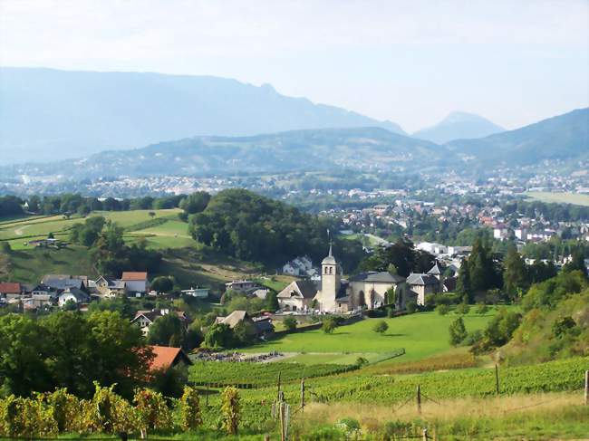 Vue sur la commune depuis les hauteurs des vignobles - Saint-Jeoire-Prieuré (73190) - Savoie
