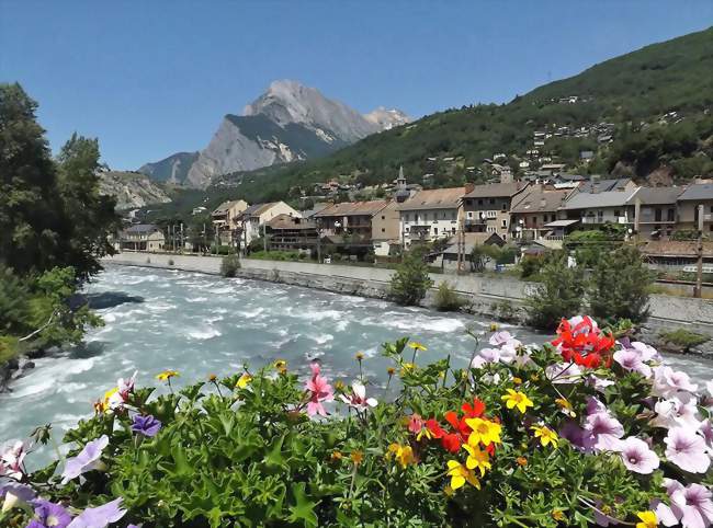 Marché des producteurs locaux