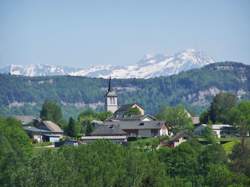 photo Ouvrier maraîcher / Ouvrière maraîchère