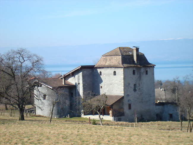 La maison forte de Chatillon, dite Château-Gaillet - Lugrin (74500) - Haute-Savoie