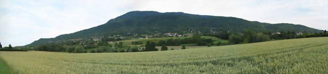 Saint-Cergues - Saint-Cergues (74140) - Haute-Savoie