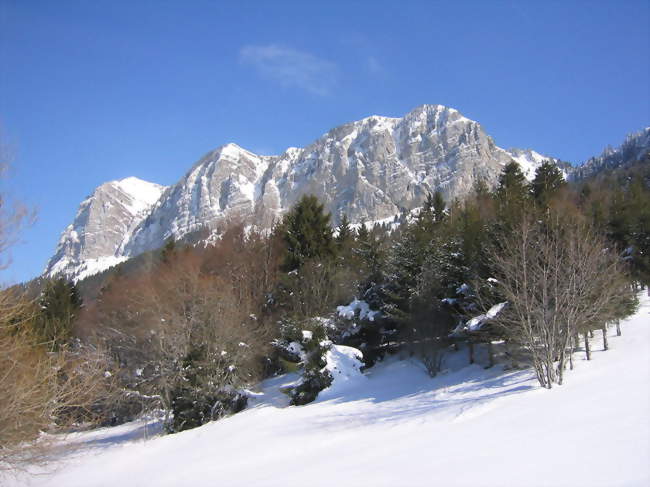 Vue de la montagne des Mémises - Thollon-les-Mémises (74500) - Haute-Savoie