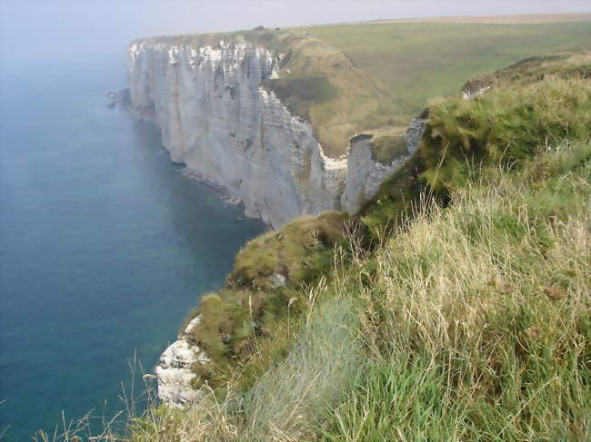 Les falaises autour de la valleuse du Curé - Bénouville (76790) - Seine-Maritime