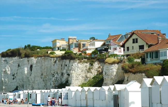 Découverte du littoral