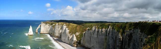 LAiguille, les falaises, la côte à l'ouest du bourg - Étretat (76790) - Seine-Maritime