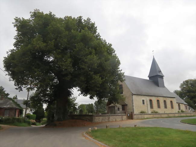 Église Saint-Jean-Baptiste et tilleul classé en 1926 - Mesnil-Raoul (76520) - Seine-Maritime