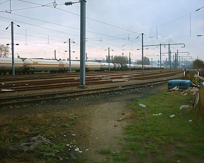 Ouvrier / Ouvrière d'entretien des espaces verts