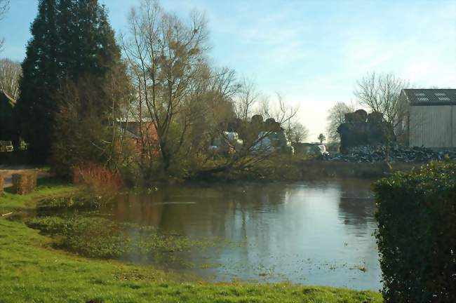 La mare du village - Saint-Pierre-des-Jonquières (76660) - Seine-Maritime