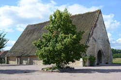 photo Pierres en Lumières à la chapelle du bout du vent