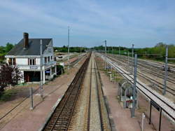 photo Les Hydrangéades du Mesnil