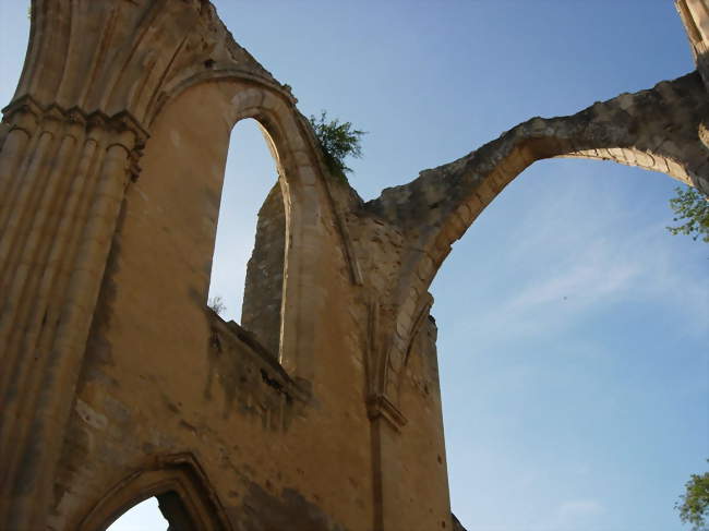 Ruines de l'abbaye du Lys - Dammarie-les-Lys (77190) - Seine-et-Marne