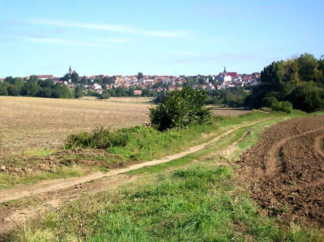 Panorama de Dammartin depuis le GR 1, en venant de Saint-Mard - Dammartin-en-Goële (77230) - Seine-et-Marne