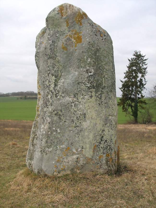 Le menhir de Diant - Diant (77940) - Seine-et-Marne