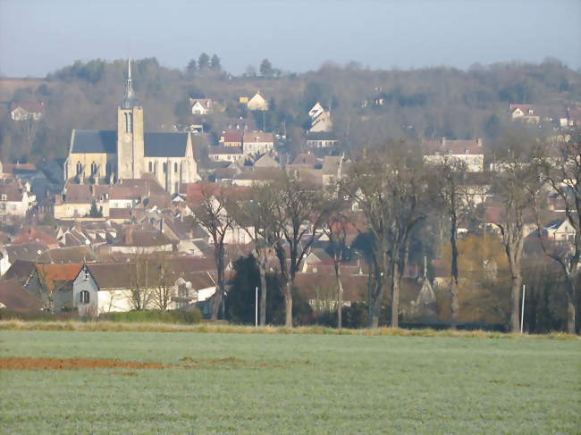 Donnemarie-Dontilly depuis la côte du Ralloy - Donnemarie-Dontilly (77520) - Seine-et-Marne