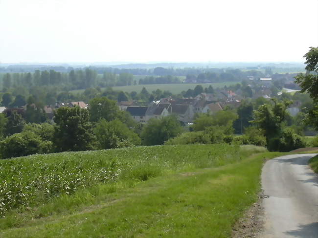 Ouvrier / Ouvrière agricole en maraîchage-horticulture