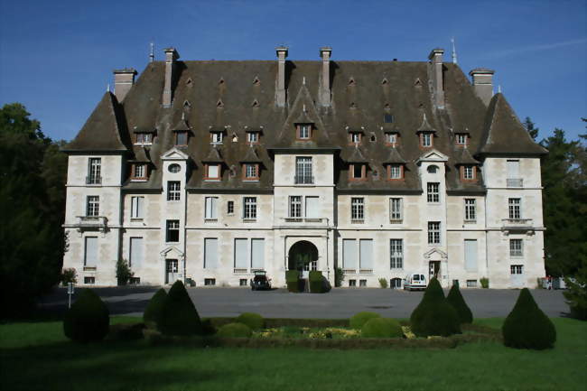 Le château de Nanteau-sur-Lunain - Nanteau-sur-Lunain (77710) - Seine-et-Marne