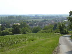 photo Ouvrier / Ouvrière agricole en maraîchage-horticulture