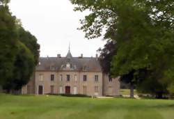 Vendeur / Vendeuse en boulangerie-pâtisserie