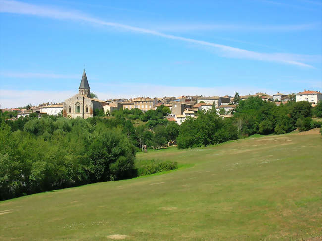 Vue de Champdeniers depuis l'Égray - Champdeniers-Saint-Denis (79220) - Deux-Sèvres