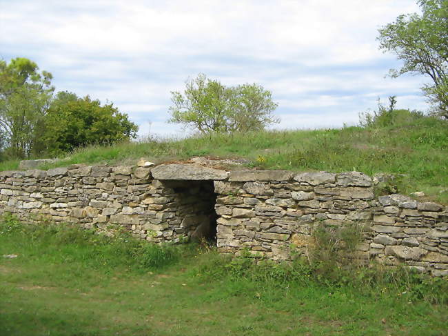 Le tumulus de Sainte-Soline - Sainte-Soline (79120) - Deux-Sèvres