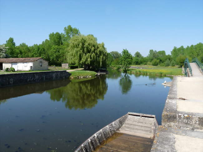 Le port du Vanneau - Le Vanneau-Irleau (79270) - Deux-Sèvres