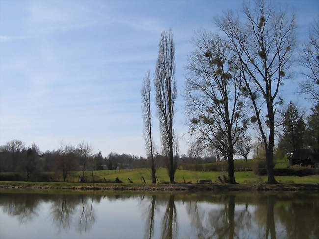 Le plan d'eau en mars 2010 - Verruyes (79310) - Deux-Sèvres