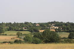 photo Marché des producteurs de Pays