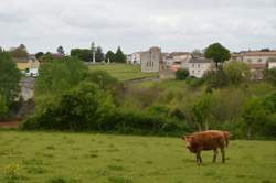 photo Découverte de la spéléologie en Deux-Sèvres