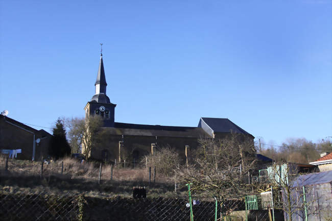 Église Saint-Pierre - Bièvres (08370) - Ardennes