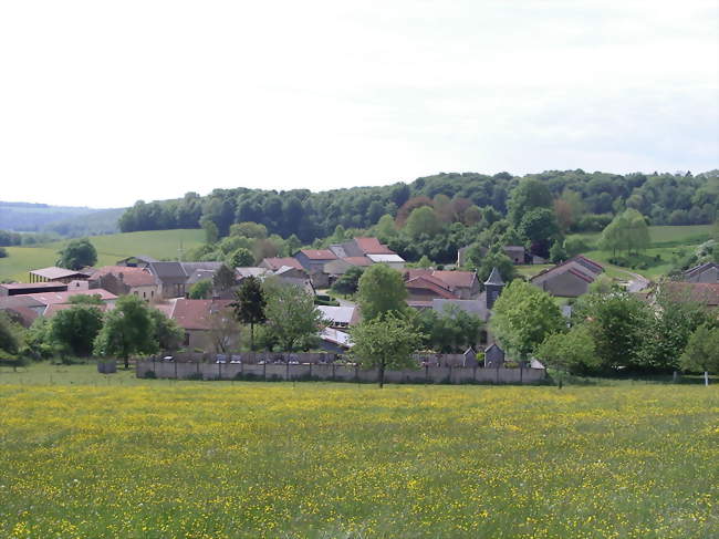 Panorama - Mondigny (08430) - Ardennes
