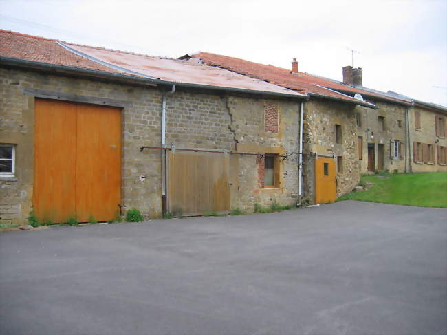 Alignement de maisons dans le village - Saint-Pierremont (08240) - Ardennes