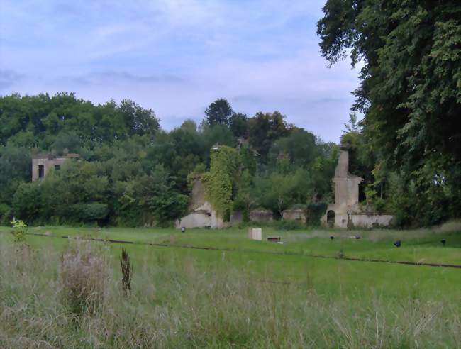 Ruines du château de la Cassine - Vendresse (08160) - Ardennes