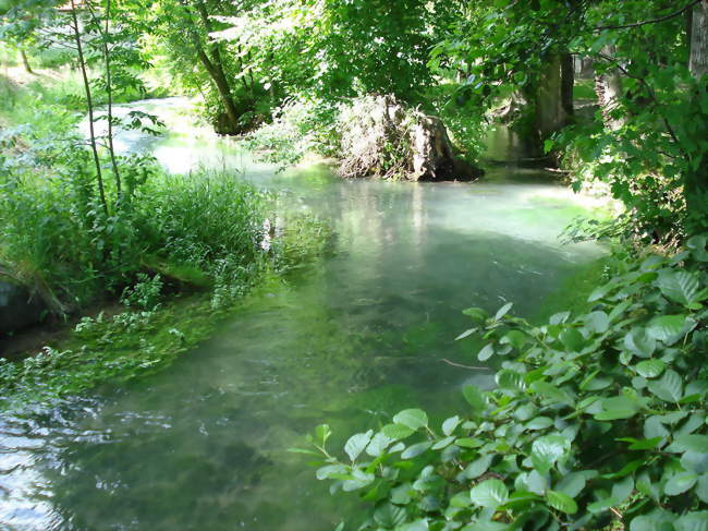 La rivière La Retourne à Ville-sur-Retourne - Ville-sur-Retourne (08310) - Ardennes