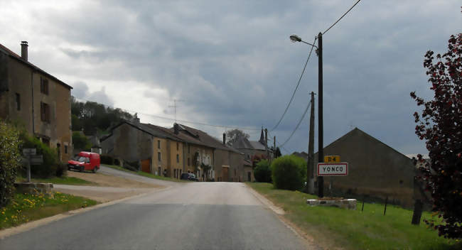 Vue depuis le nord-est sur Yoncq - Yoncq (08210) - Ardennes