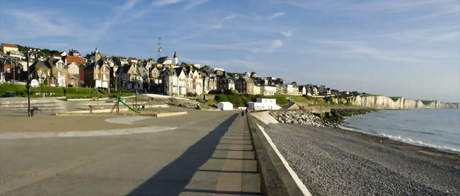 Lecture à la plage Ault