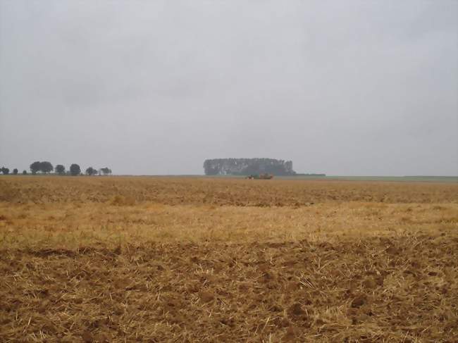 Paysage de chaumes en septembre - Contalmaison (80300) - Somme